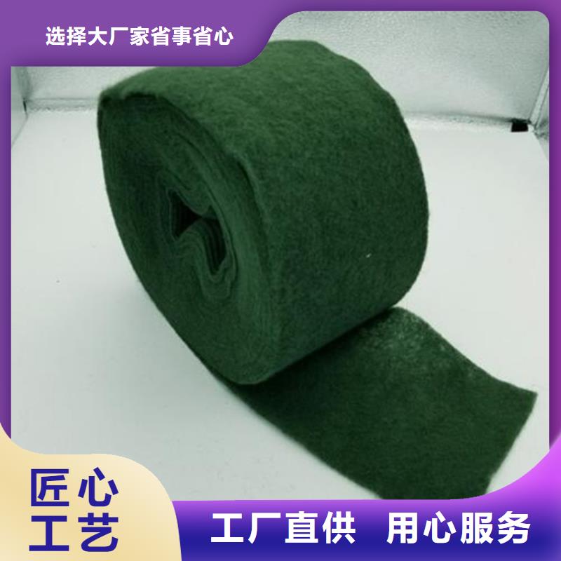 裹树布-土工格栅大量现货欢迎新老客户垂询