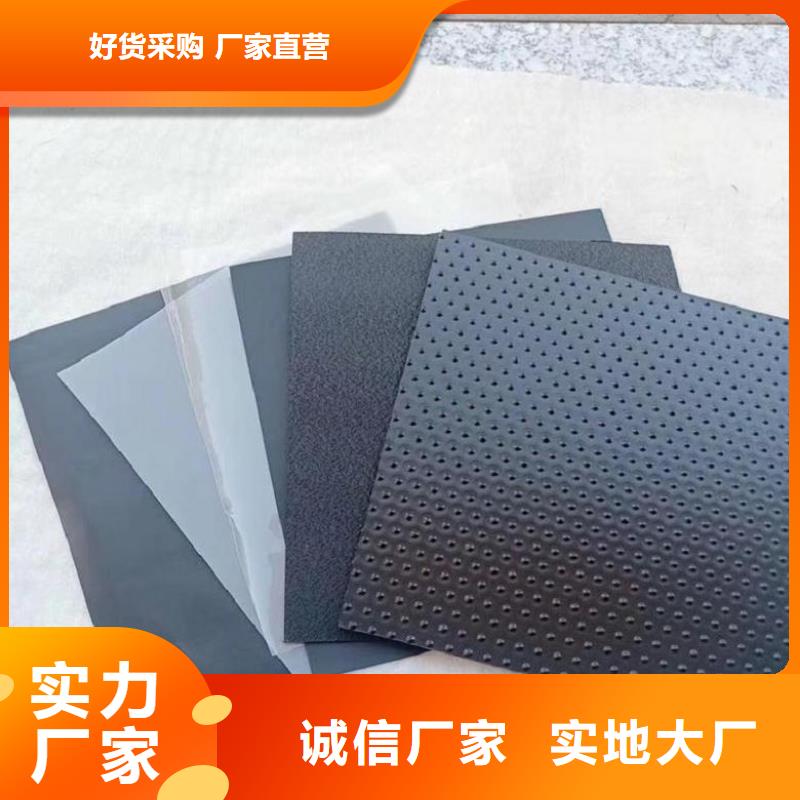 土工膜HDPE土工膜安装简单源厂直接供货