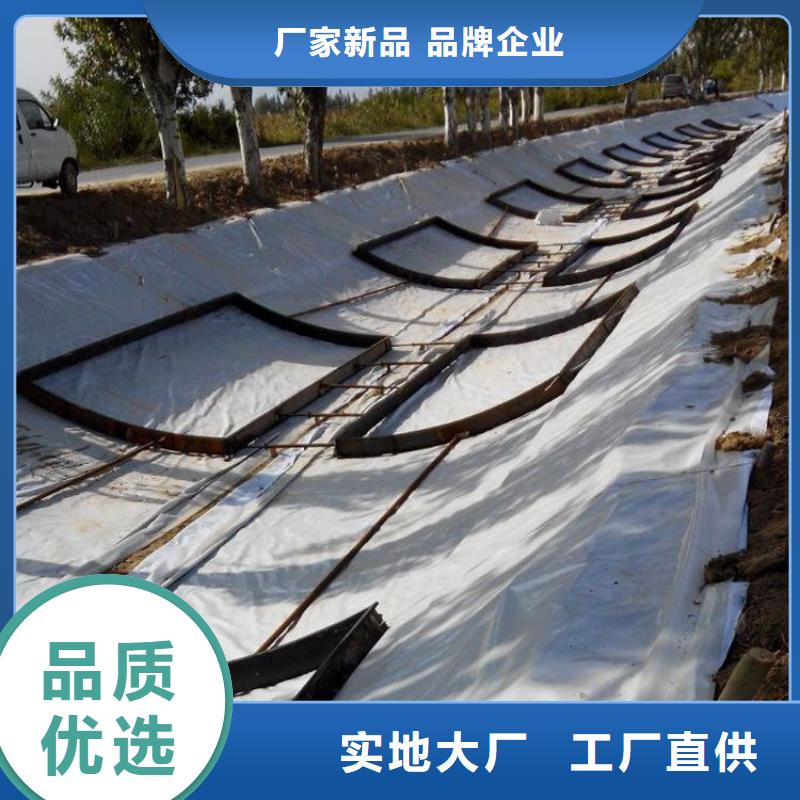 土工膜防水板厂家十分靠谱免费寄样