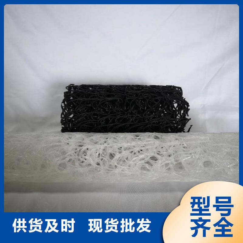 塑料盲沟土工网垫经久耐用当地厂家