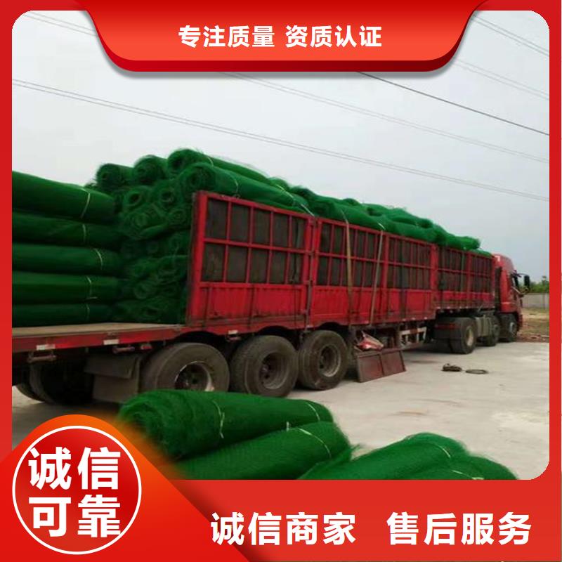三维植被网HDPE土工膜厂家质量过硬种类丰富