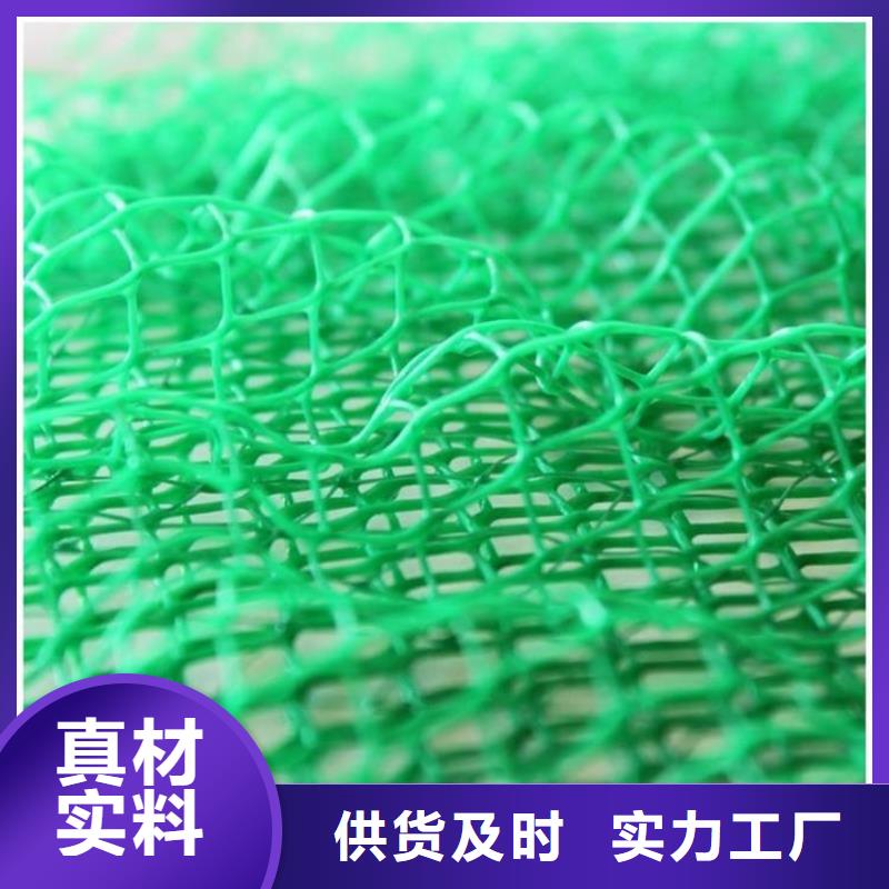 三维植被网【土工膜】品质保障价格合理同城服务商