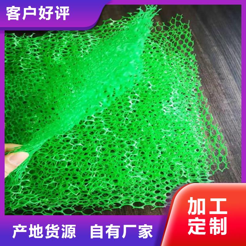 三维植被网【土工布】颜色尺寸款式定制N年大品牌