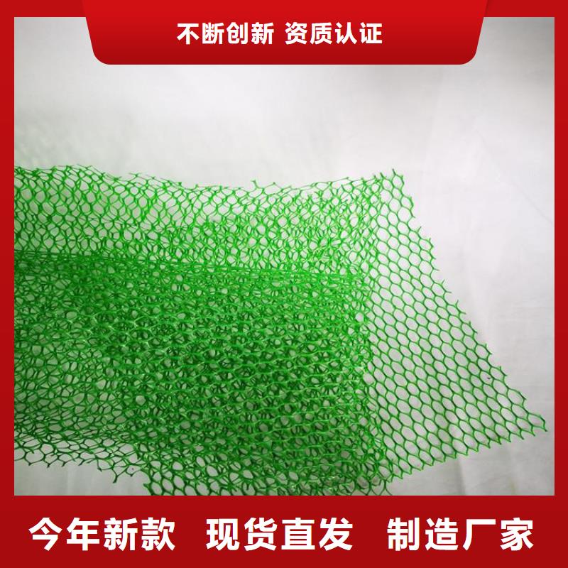 【三维植被网】防裂贴货源足质量好本地经销商
