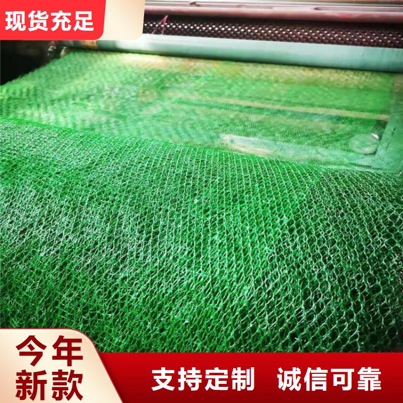 三维植被网土工格栅以质量求生存当地经销商