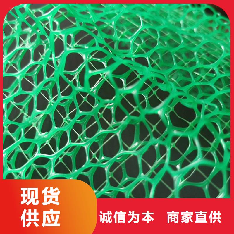 三维植被网土工格栅厂家供应同城厂家