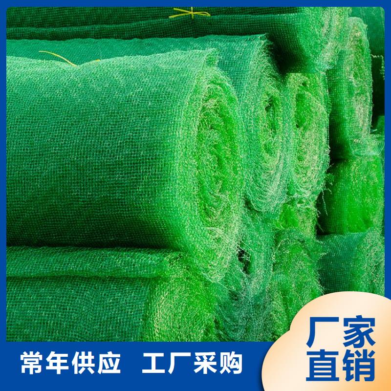 三维植被网矿用格栅选择我们没错专业生产品质保证