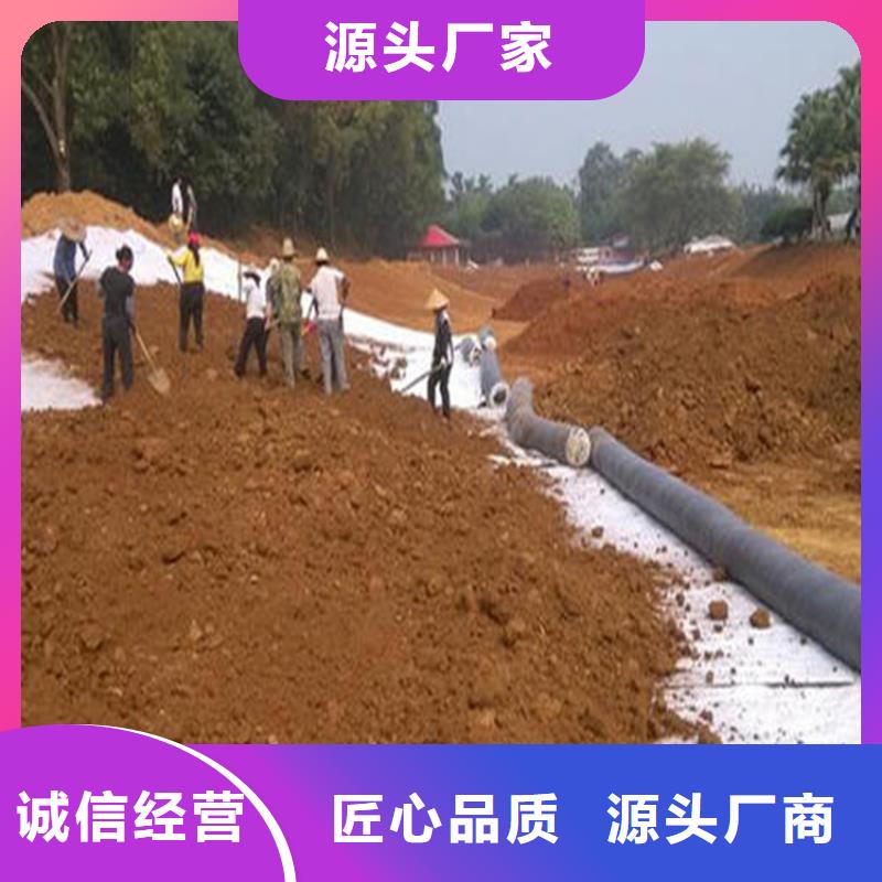 膨润土防水毯_止水带细节之处更加用心源头厂家经验丰富