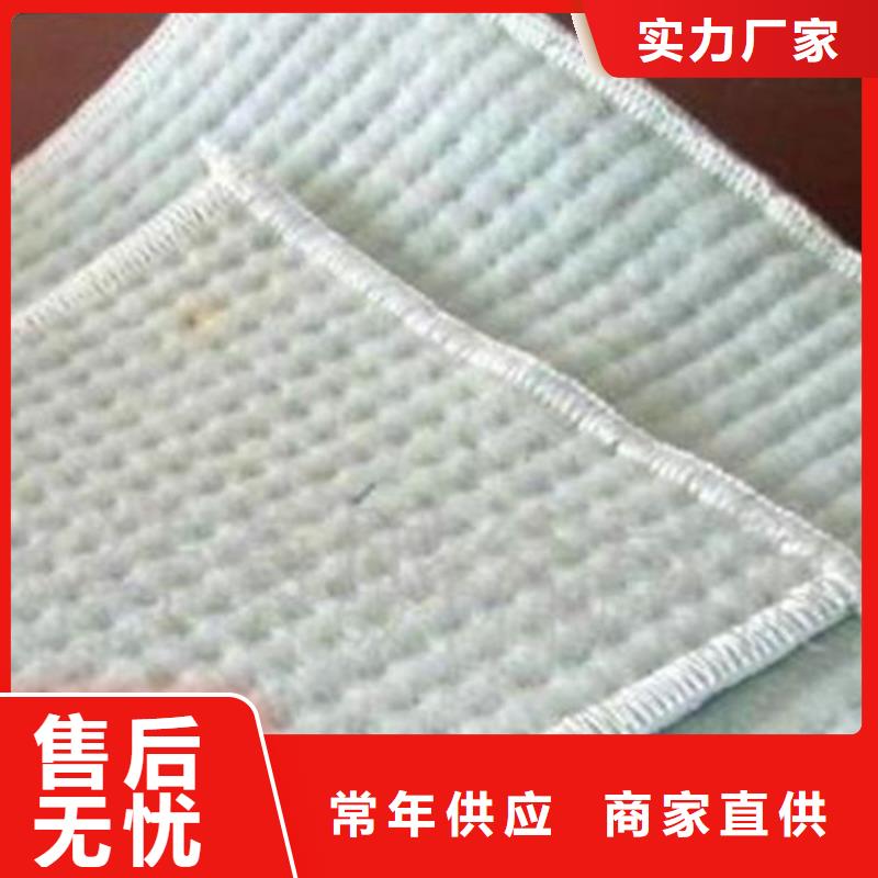 膨润土防水毯通风降噪丝网厂家工艺先进同城公司