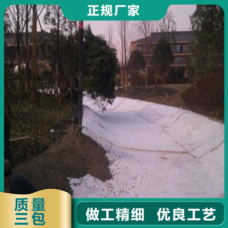膨润土防水毯,【防渗膜】实力派厂家设计合理