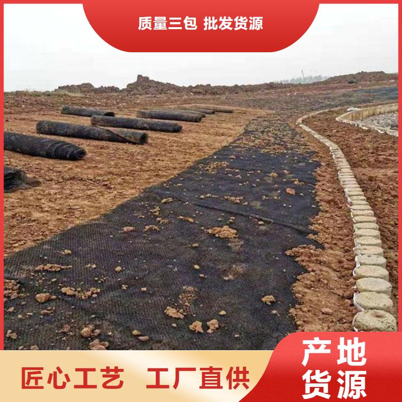 【水土保护毯土工格栅国标检测放心购买】现货满足大量采购