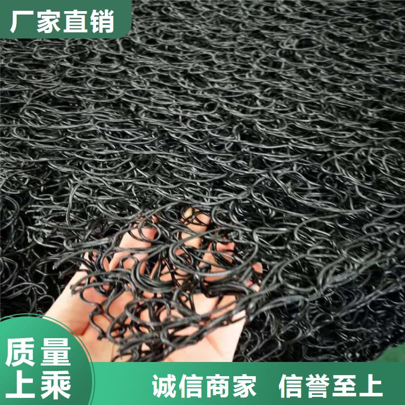 土工席垫土工网垫拥有核心技术优势当地生产商