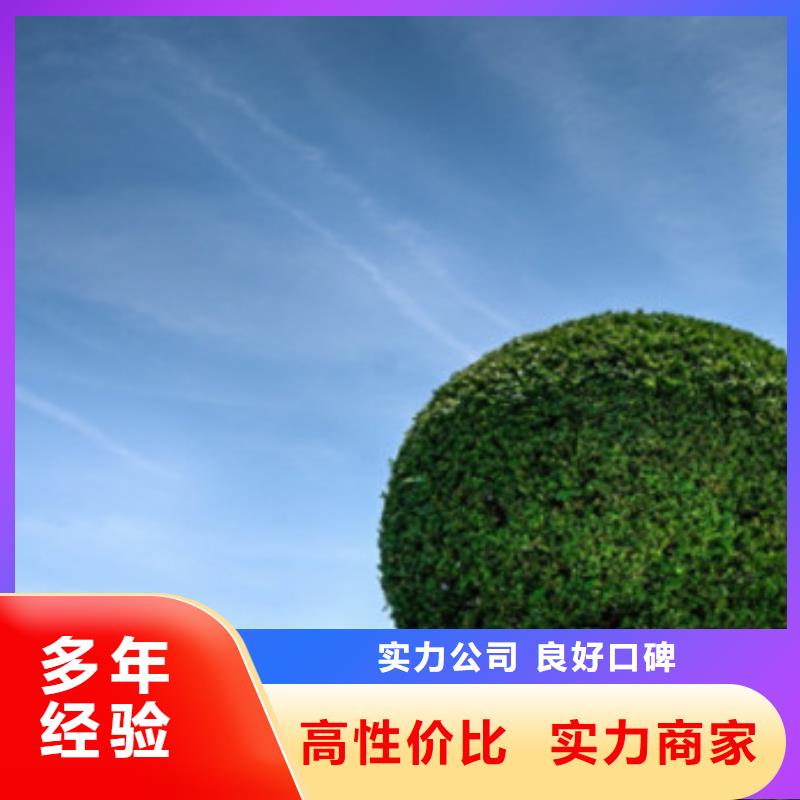 工程预算 【工程概算】专业可靠本地服务商