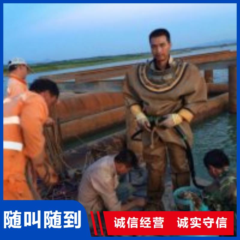 【潜水服务公司】水下照相服务多家服务案例随叫随到