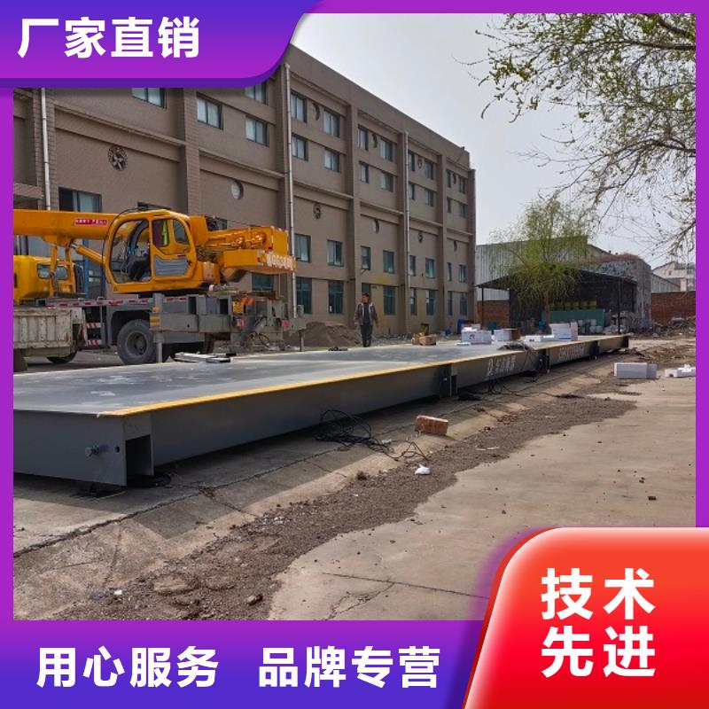 地磅_数字仪表厂家直发本地范围供应商