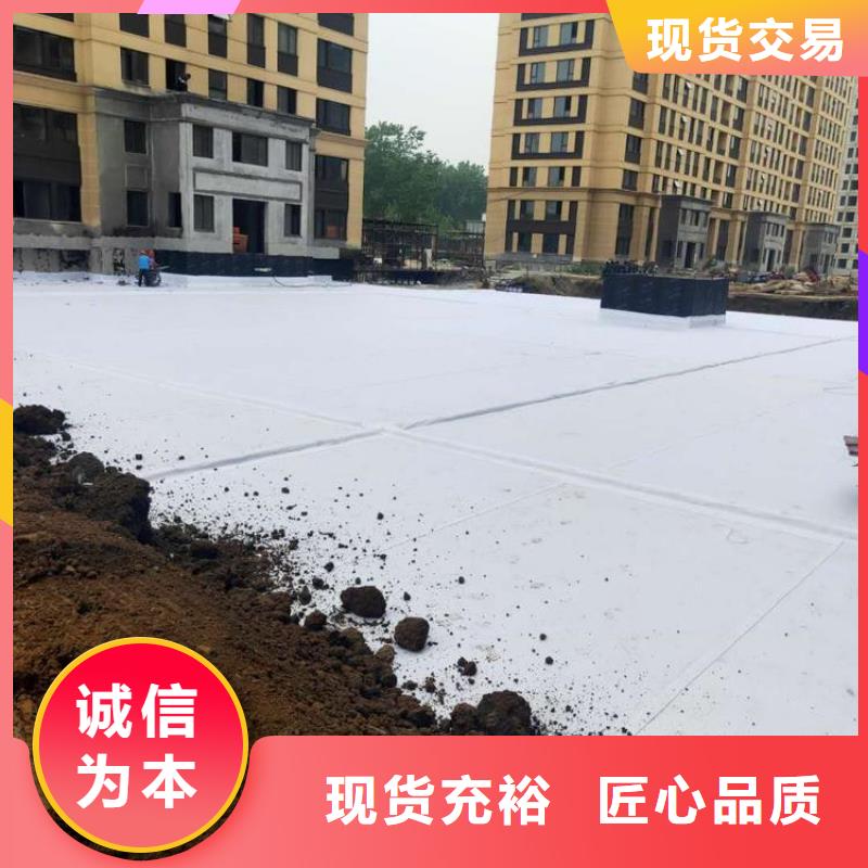 排水板三维植被网一周内发货当地供应商