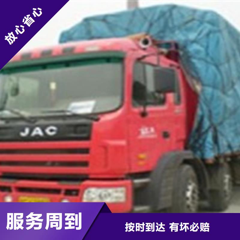 广东零担物流【上海到广东物流回程车】宠物托运