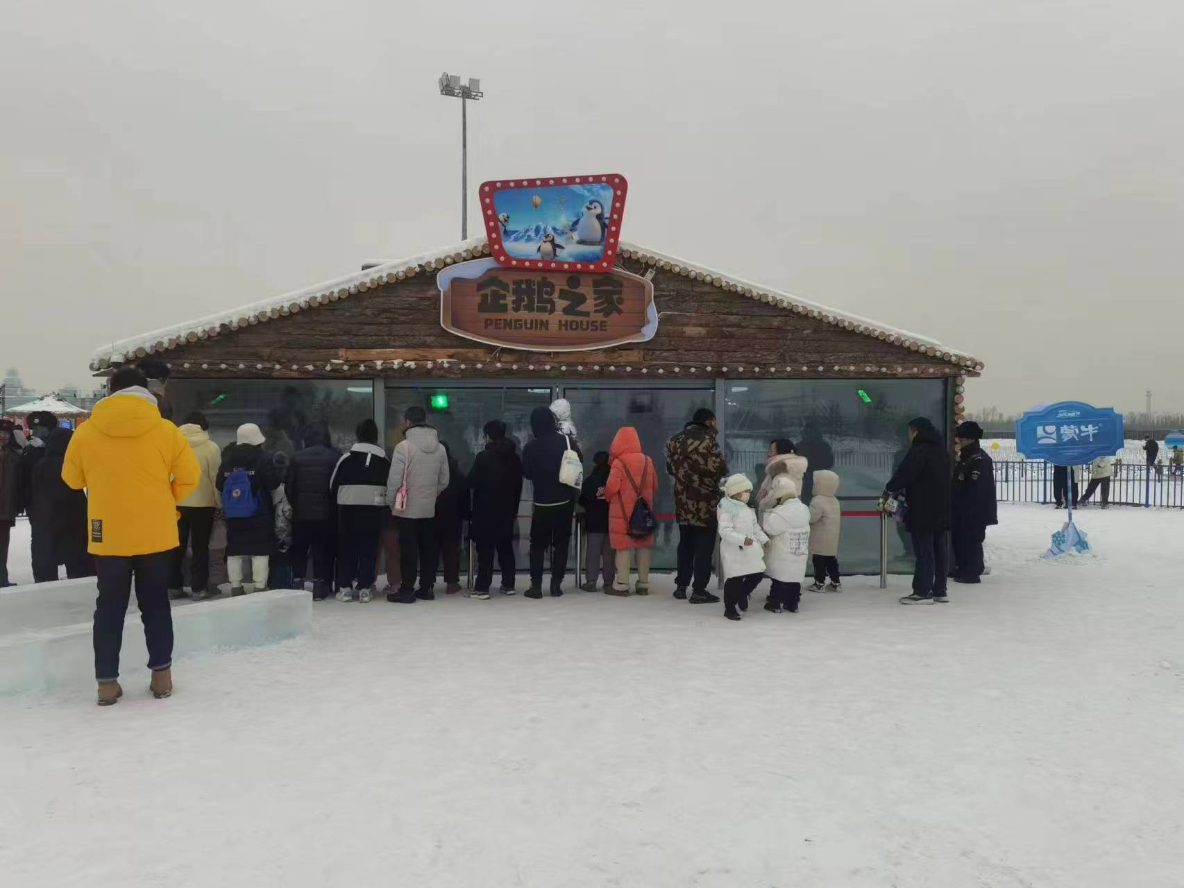 企鹅展览实业厂家