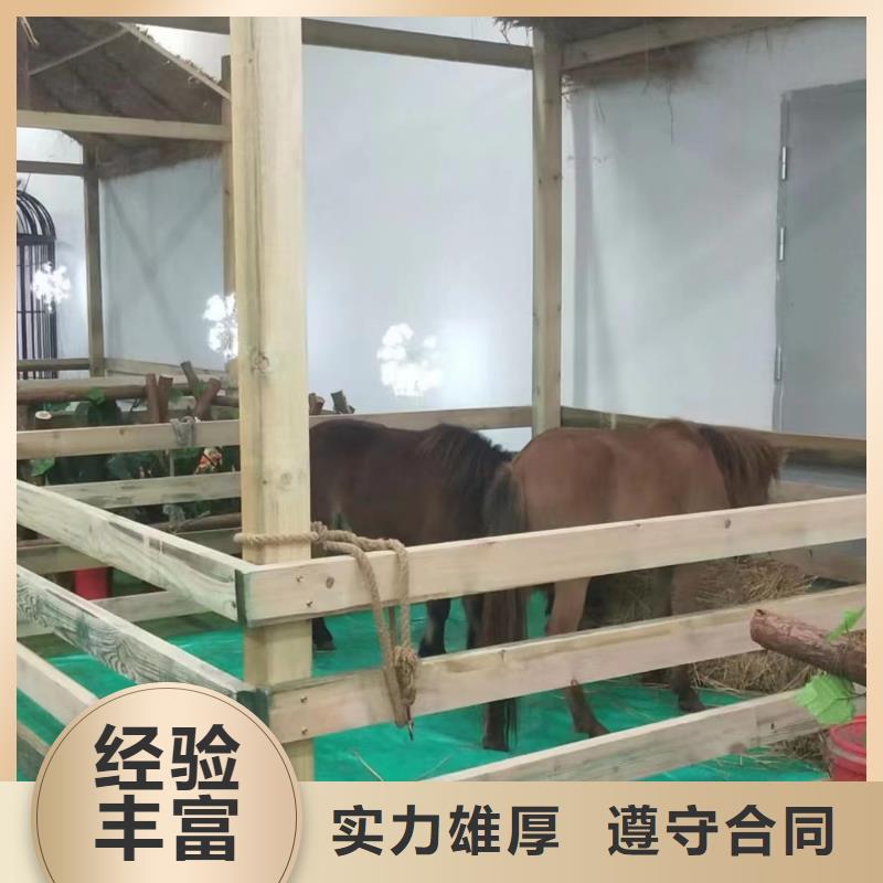 【马戏团/羊驼出租企鹅2025公司】口碑商家