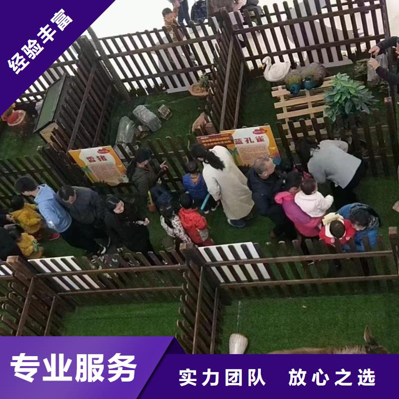 马戏团/羊驼海狮表演出租讲究信誉公司
