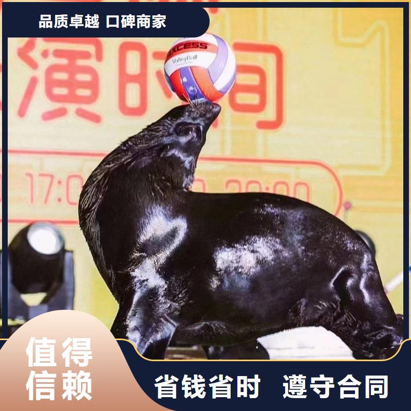 海洋主题动物表演_吉祥百鸟展诚信多家服务案例