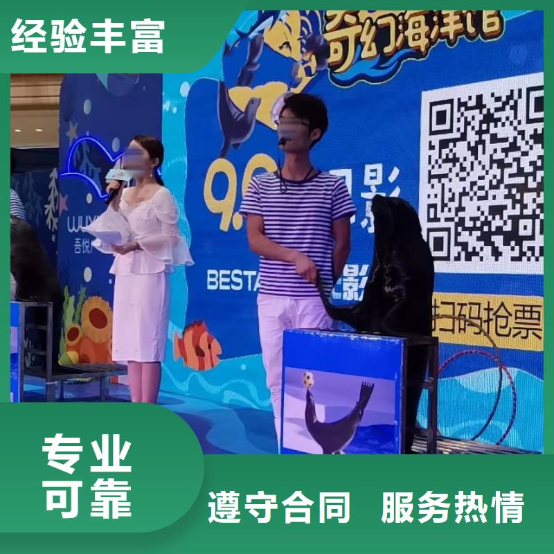 海洋主题动物表演【羊驼出租】实力商家讲究信誉