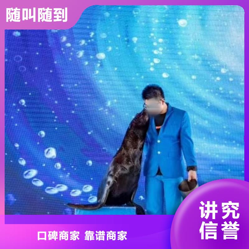 海洋主题动物表演【商场马戏表演出租】专业可靠同城服务商