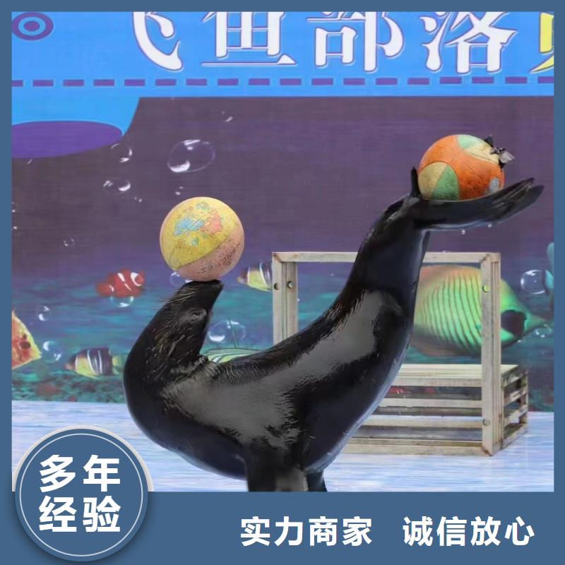 【海洋主题动物表演】水族海洋展靠谱商家实力公司