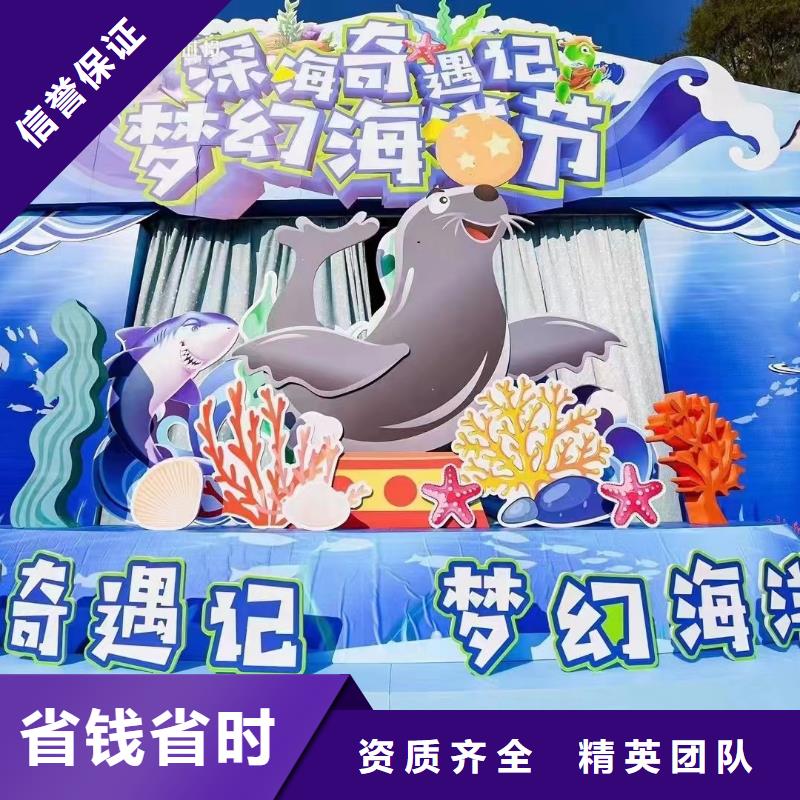 海洋主题动物表演【活体羊驼租赁】品质优技术精湛