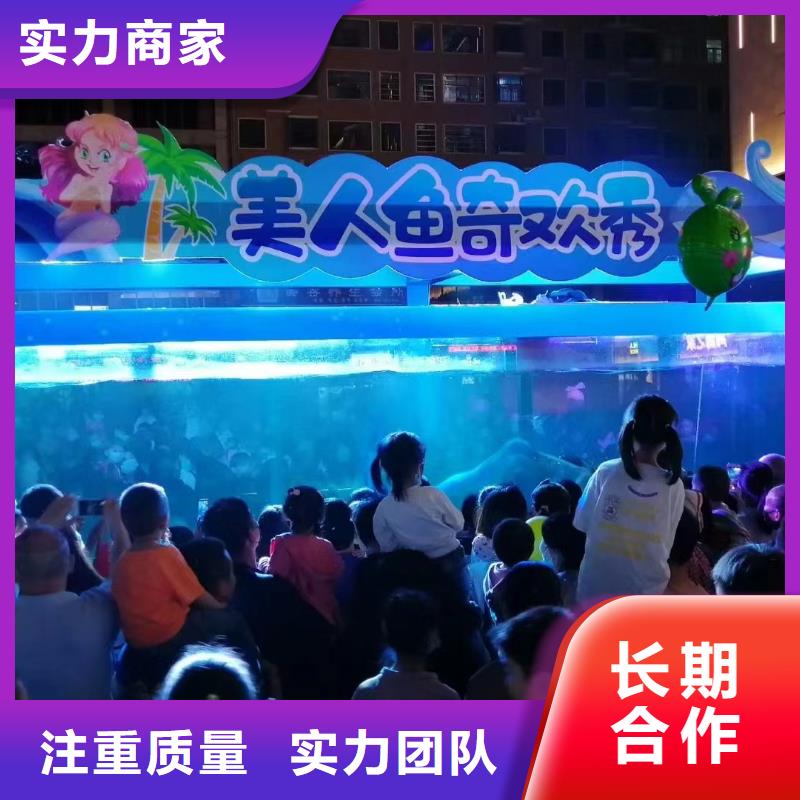 【海洋主题动物表演【企鹅演出】专业团队】方便快捷