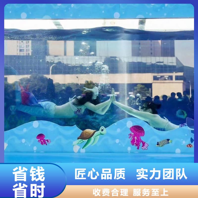 海洋主题动物表演-【活体羊驼租赁】效果满意为止同城公司