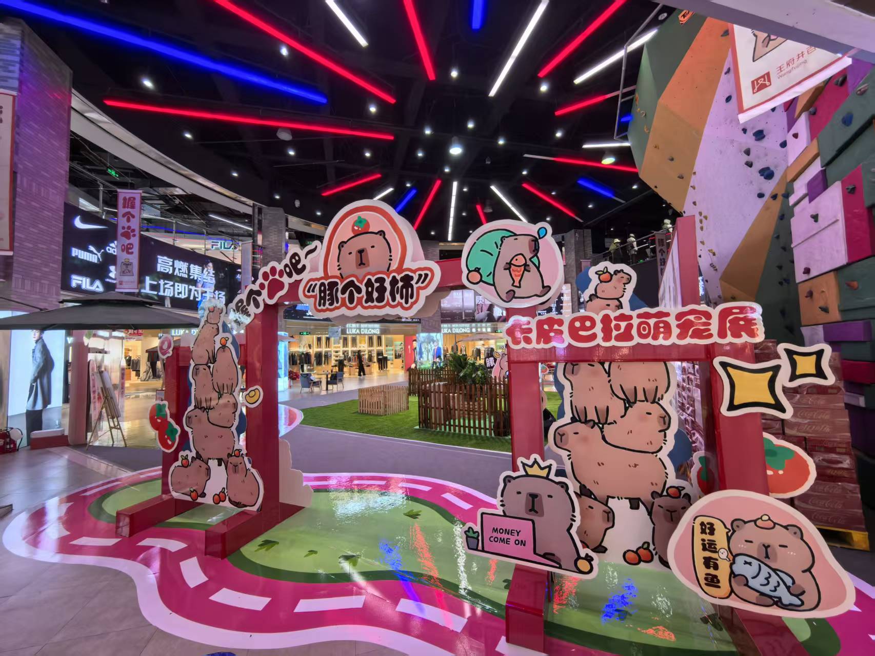 经验丰富的策划基地