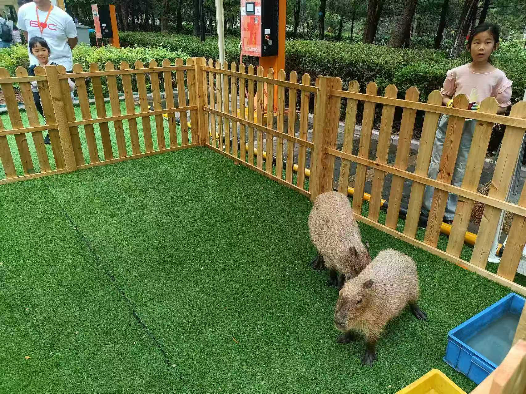 企业团建-企业团建质优价廉