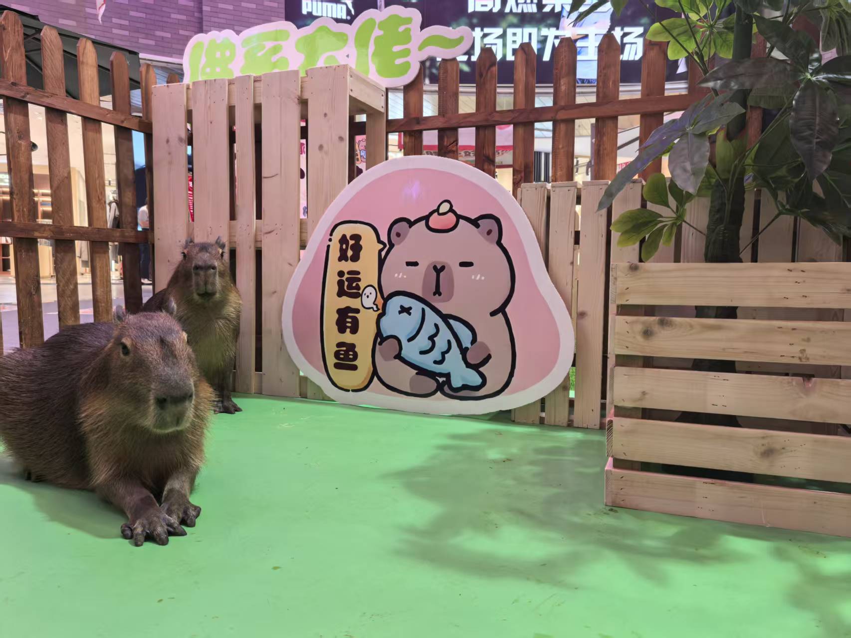 全年龄段适配-全年龄段适配品牌厂家