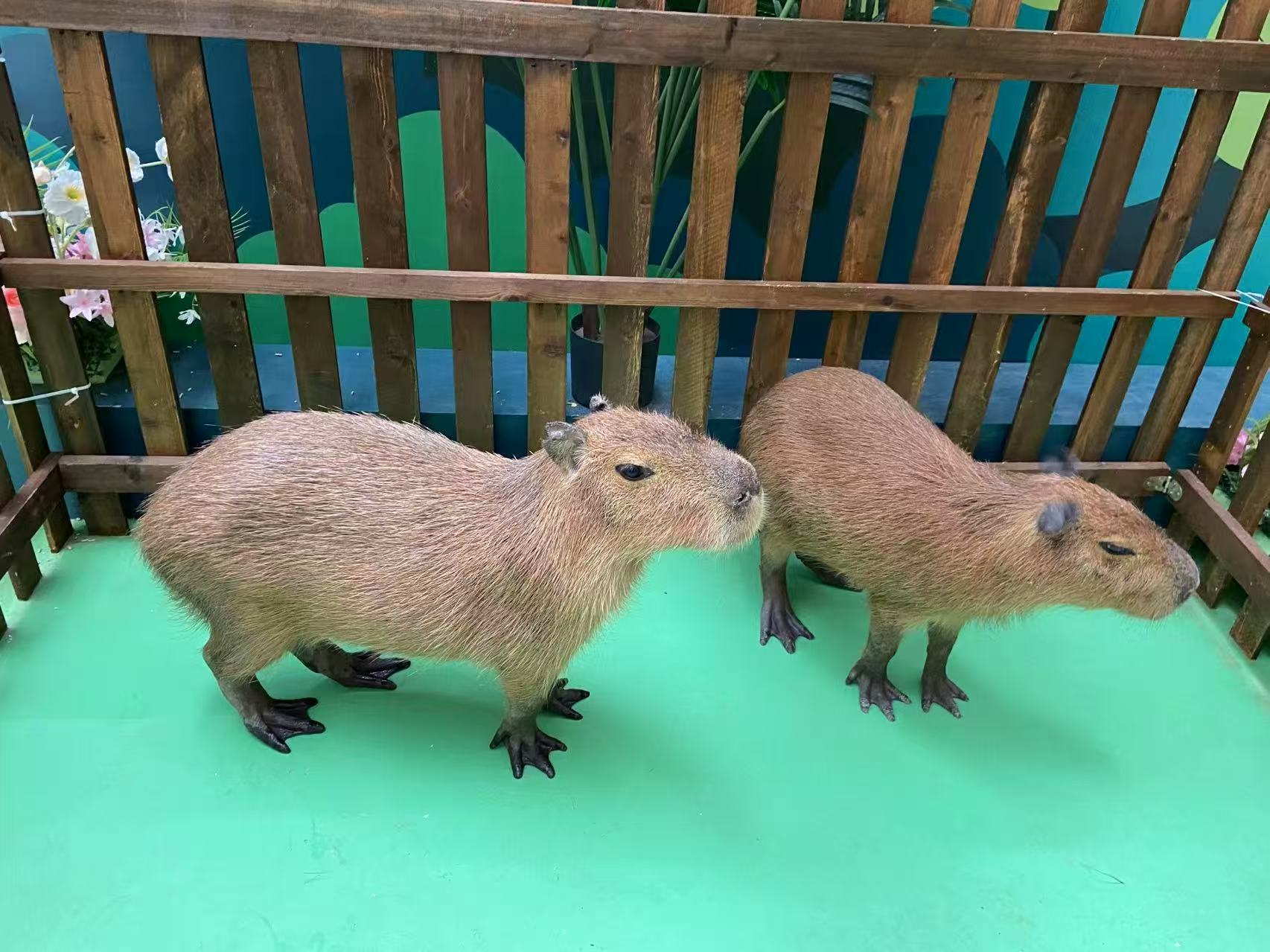 全年龄段适配-全年龄段适配品牌厂家