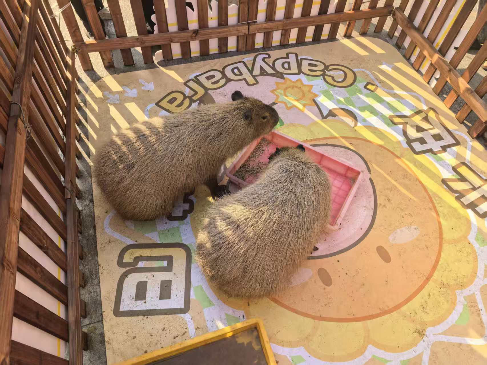 靠谱的检疫标准公司