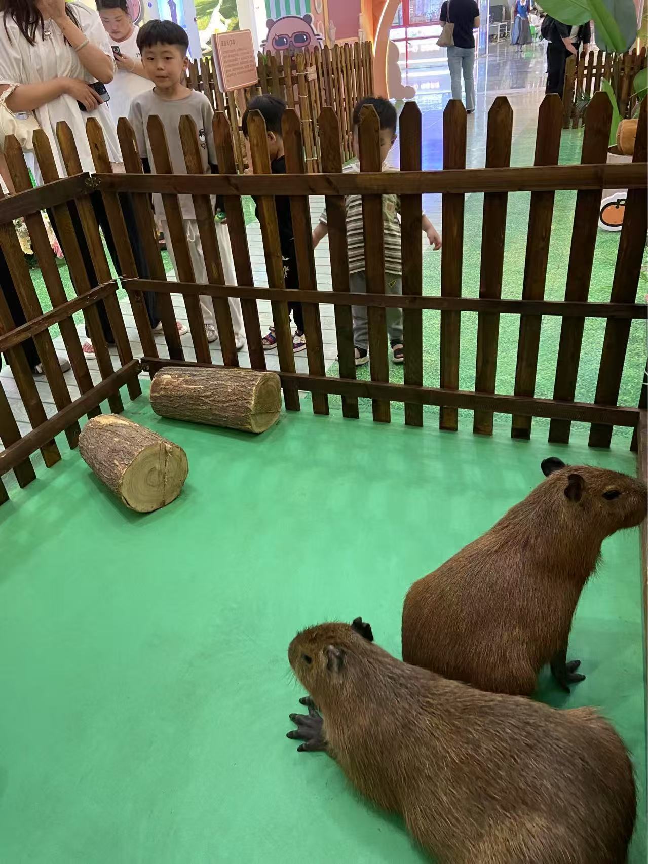 出租优势厂家加工