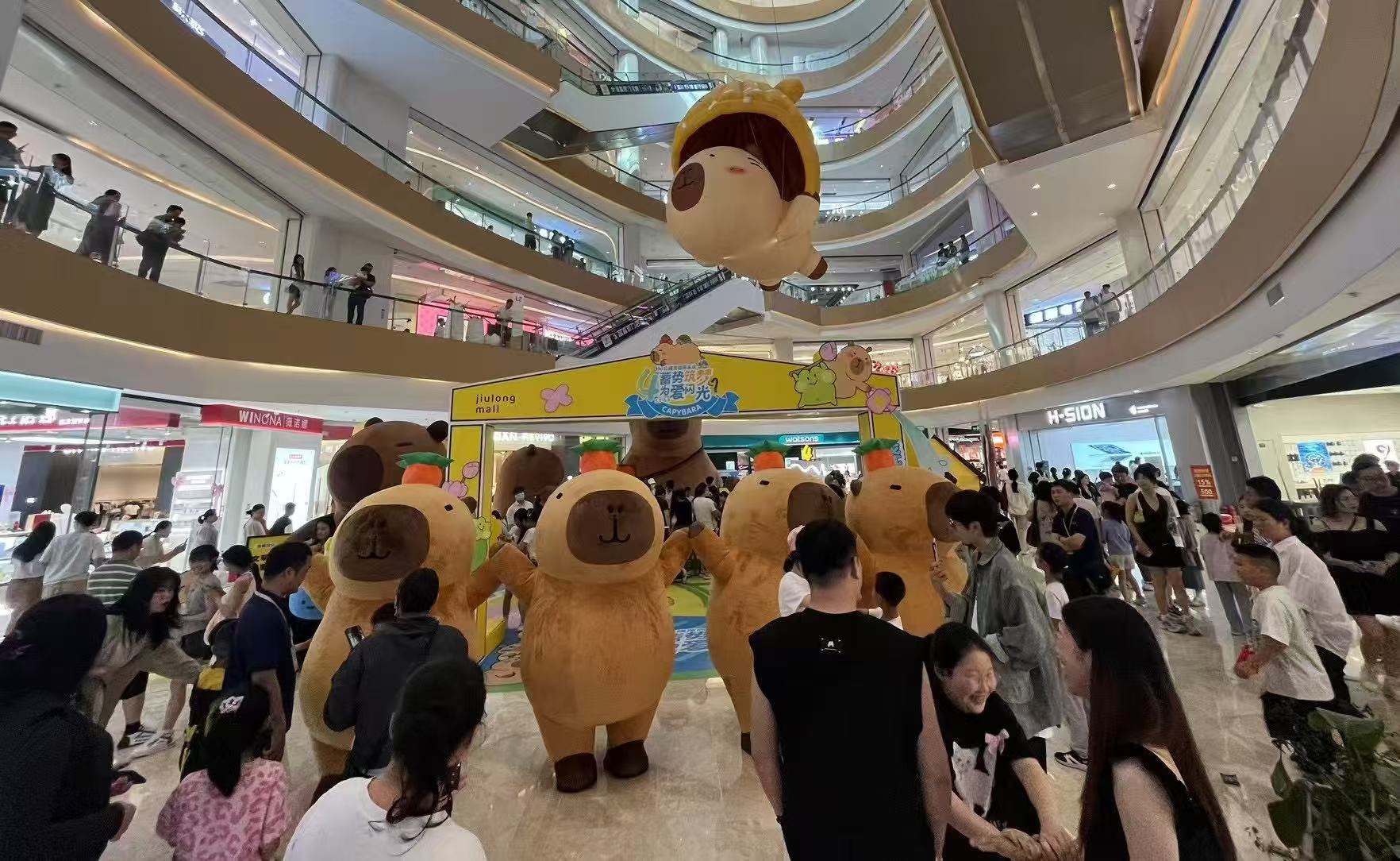 检疫标准随时询价