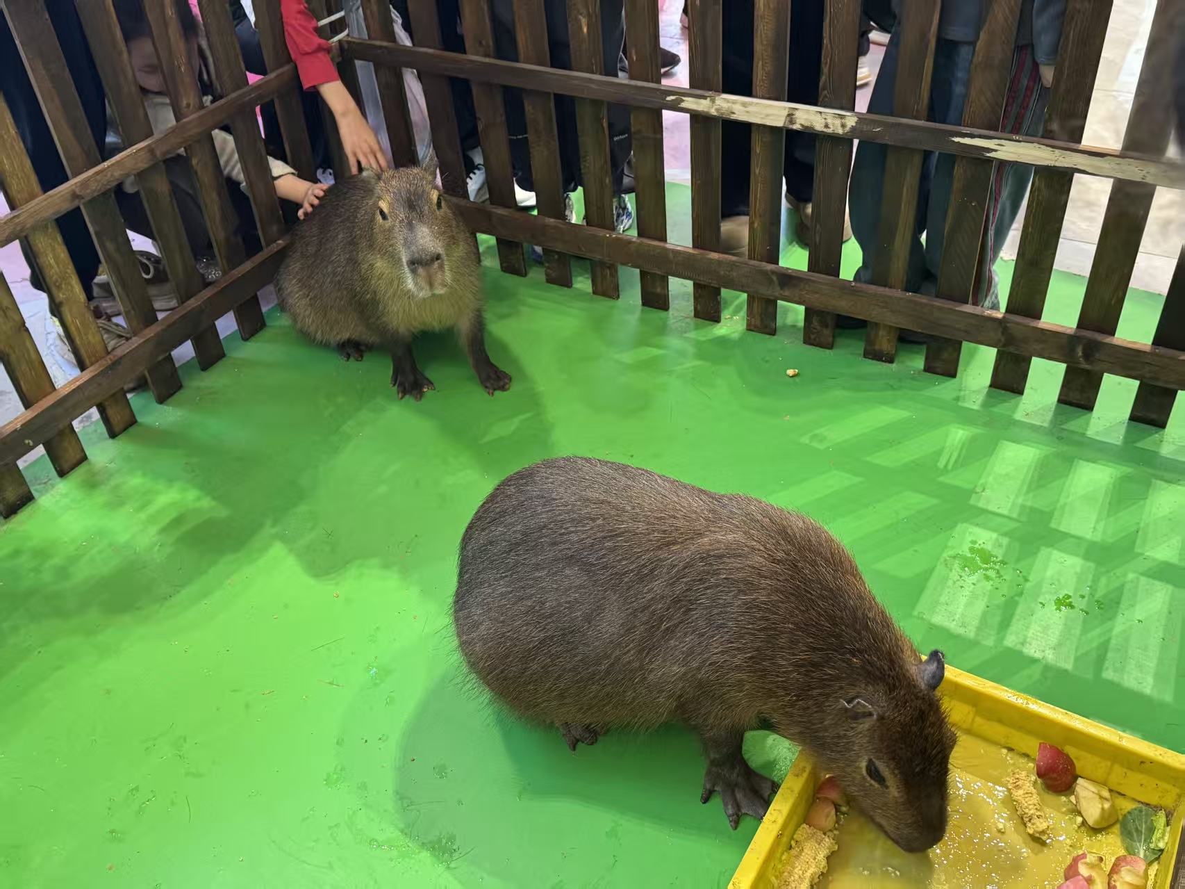 出租优势厂家加工