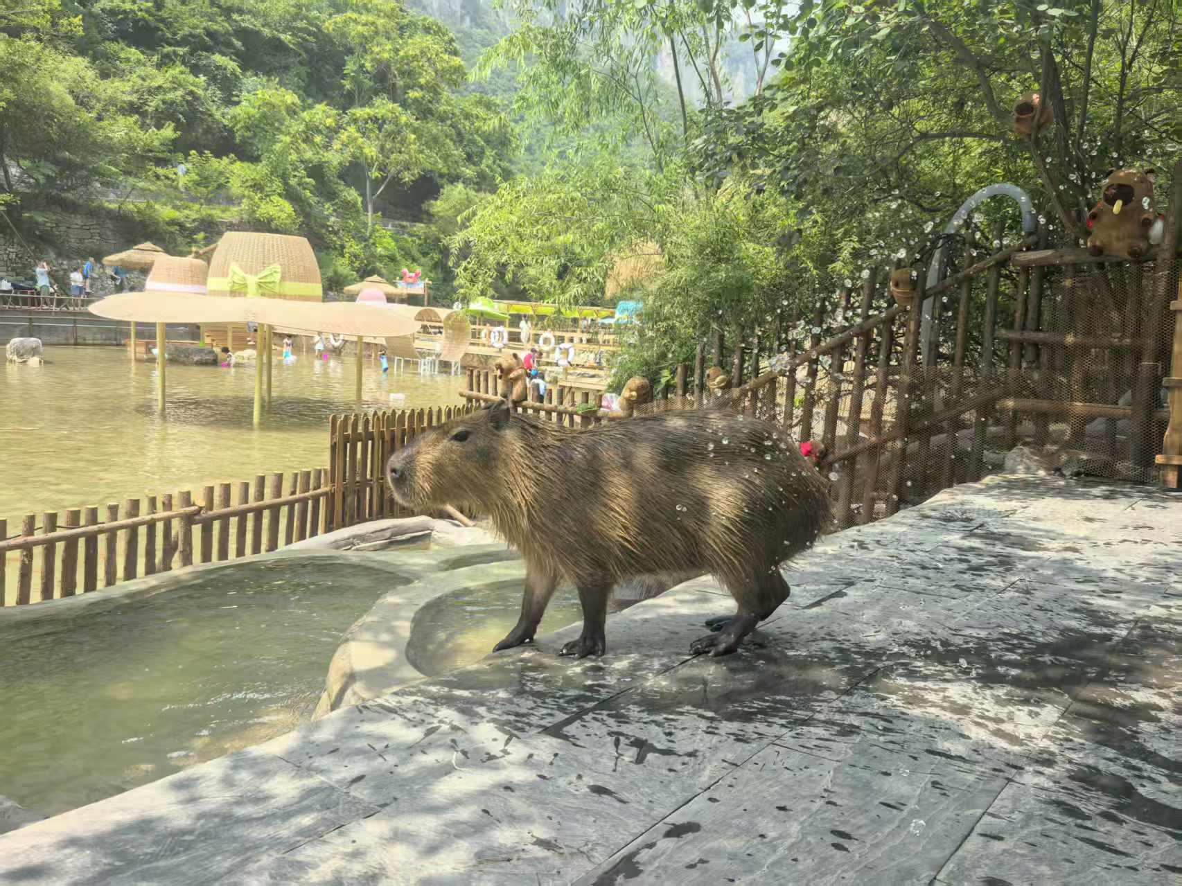 企业团建-企业团建质优价廉