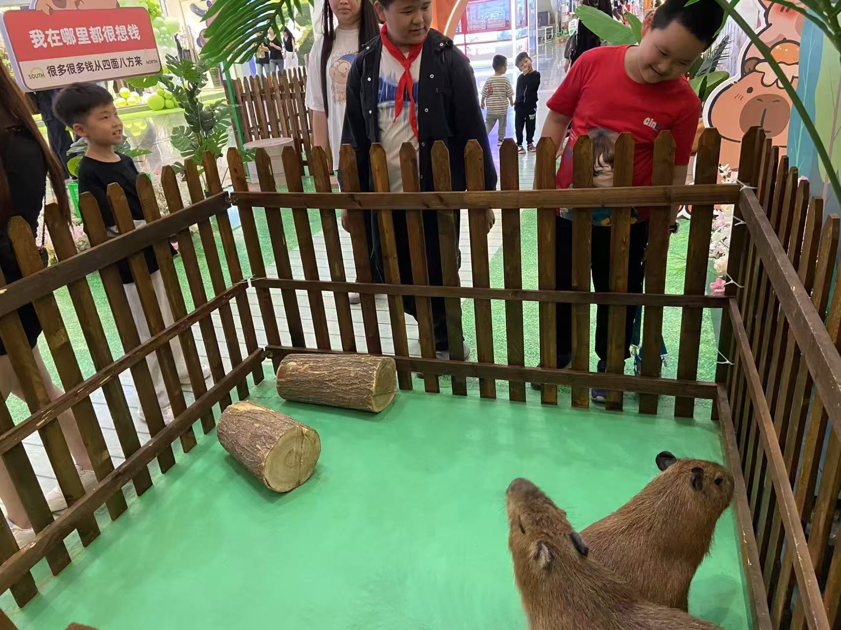 定做出租的生产厂家