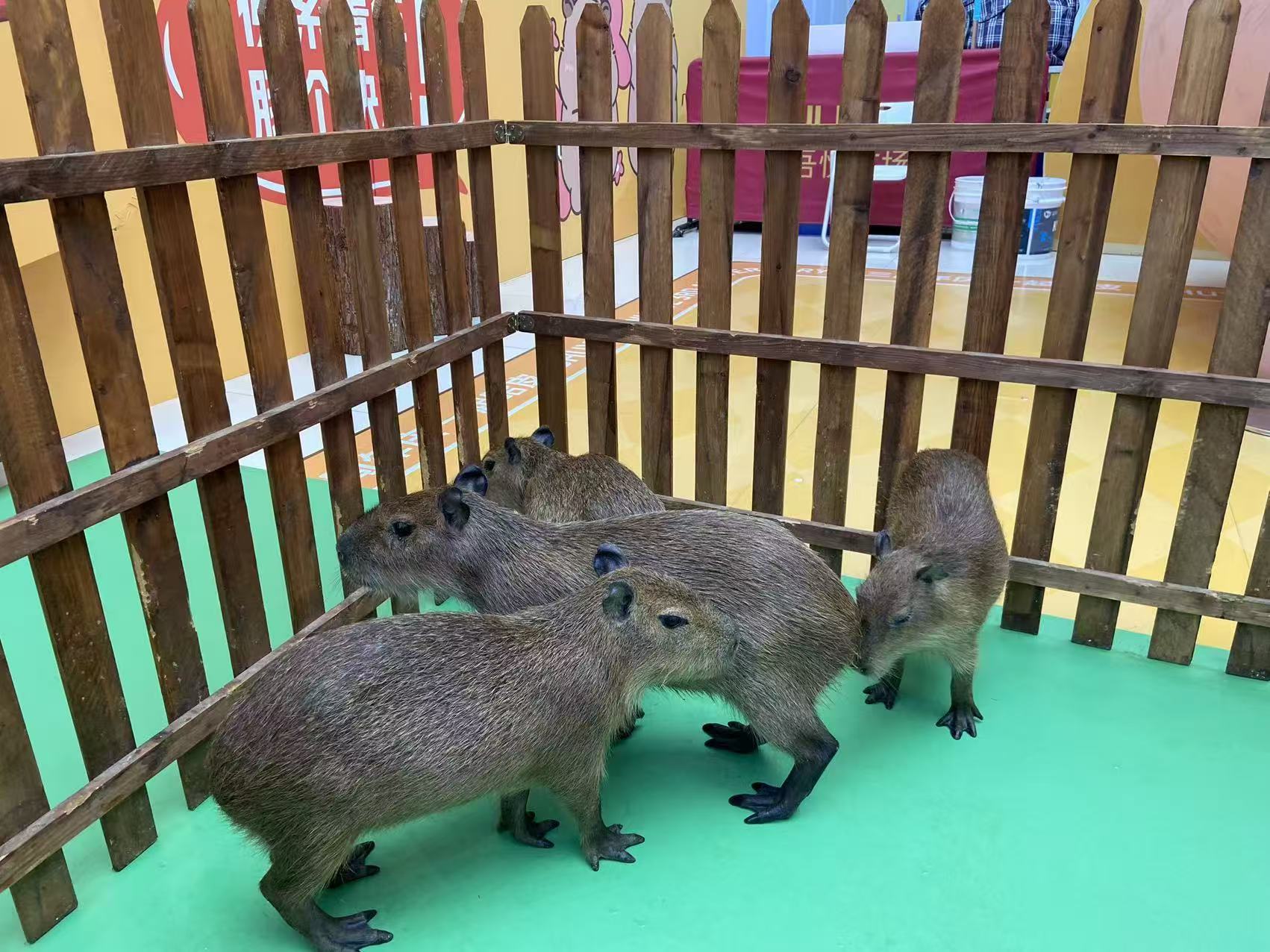 全年龄段适配-全年龄段适配品牌厂家