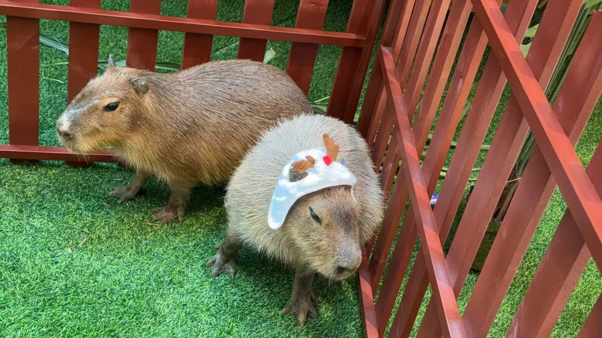 经验丰富的策划基地