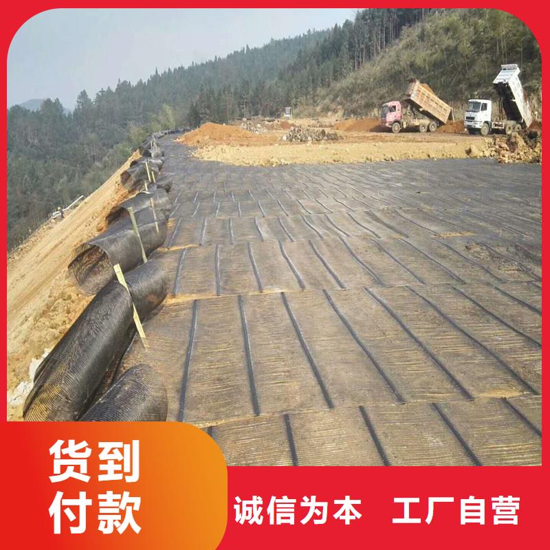 土工格栅\抗裂贴双向塑料土工格栅采购附近公司