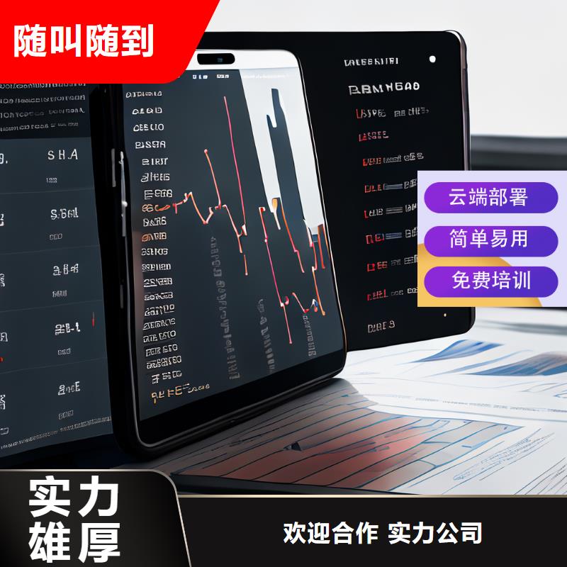 软件进销存管理软件诚信经营服务至上