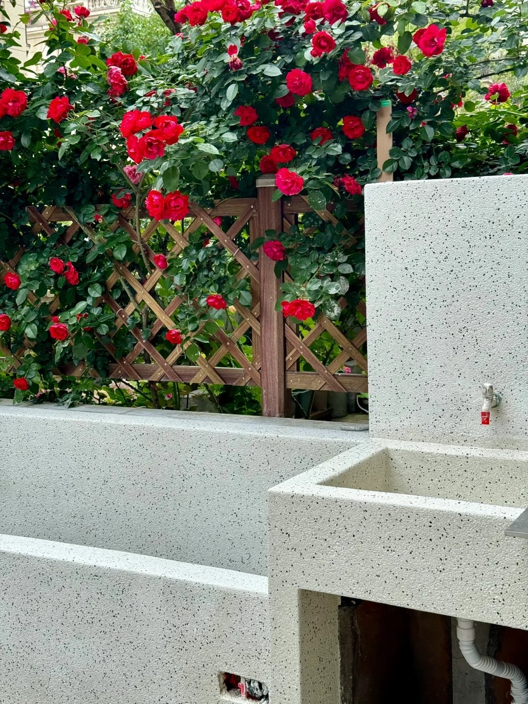 儋州市白色胶粘石来电咨询艺术涂料