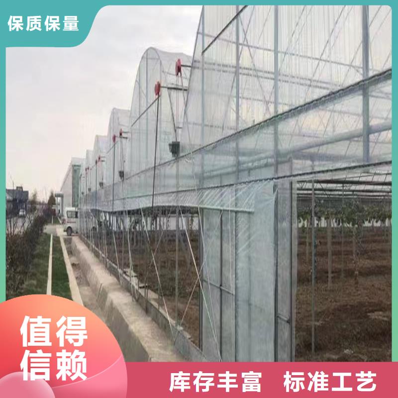 广东省珠海市前山街道灵芝大棚钢管实体大厂当地供应商