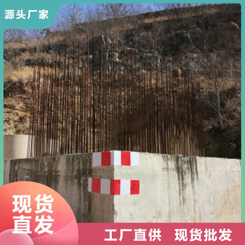 发电机租赁本地现货含电缆选择大厂家省事省心