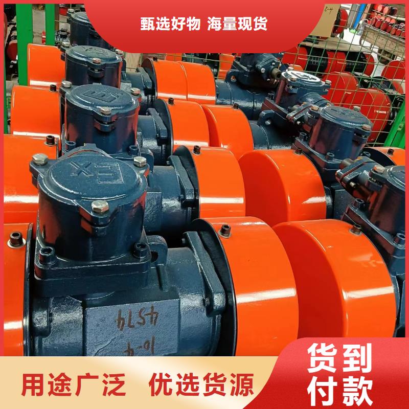 防爆振动电机-混合机厂家厂家现货供应用心制造