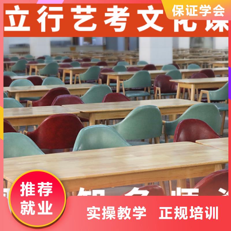 艺术生文化课补习学校哪家比较好学真本领